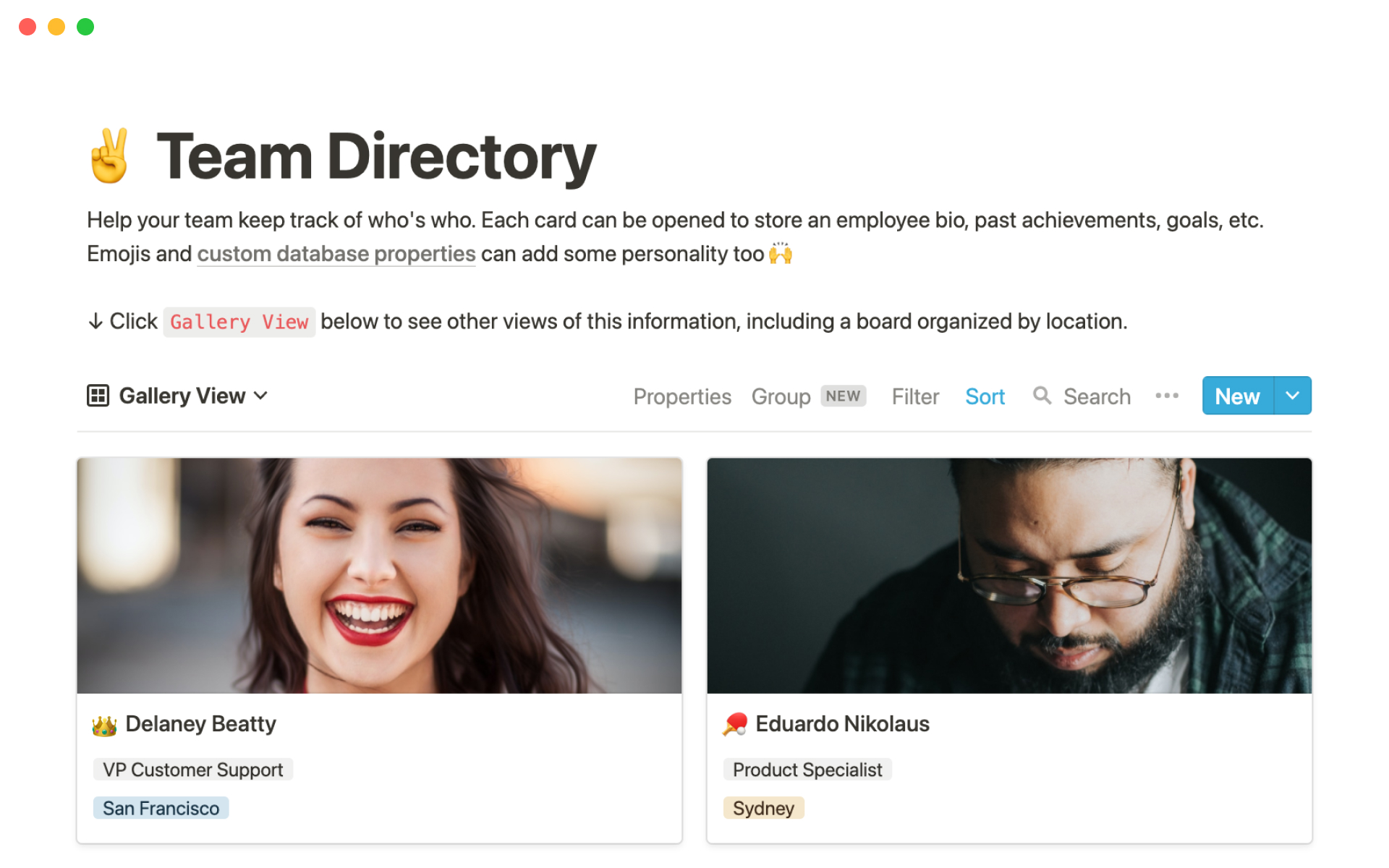 The desktop image for the Team Directory template