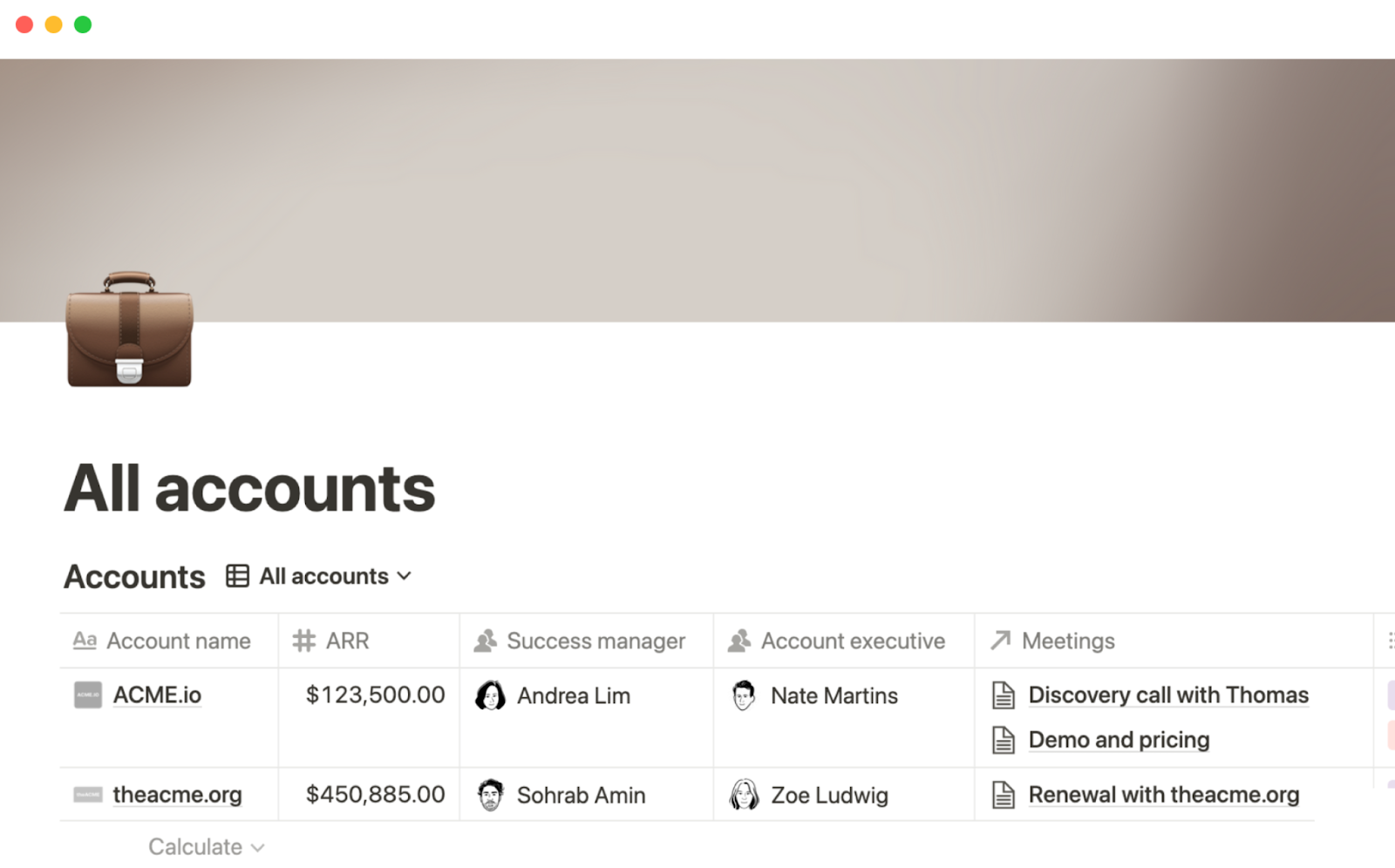 Screenshot of All accounts template from Notion.